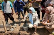 Elly Wahyuni Waka 1 DPRD Lampung Salurkan Berbagai Bantuan untuk Masyarakat, Dari Bedah Rumah Hingga Alat Pertanian