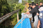 Gubernur Lampung Tebar Benih Ikan di Way Sesah Kota Alam