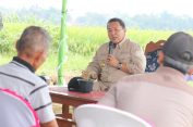 Gubernur Tinjau Lahan Pertanian di Kabupaten Lampung Tengah