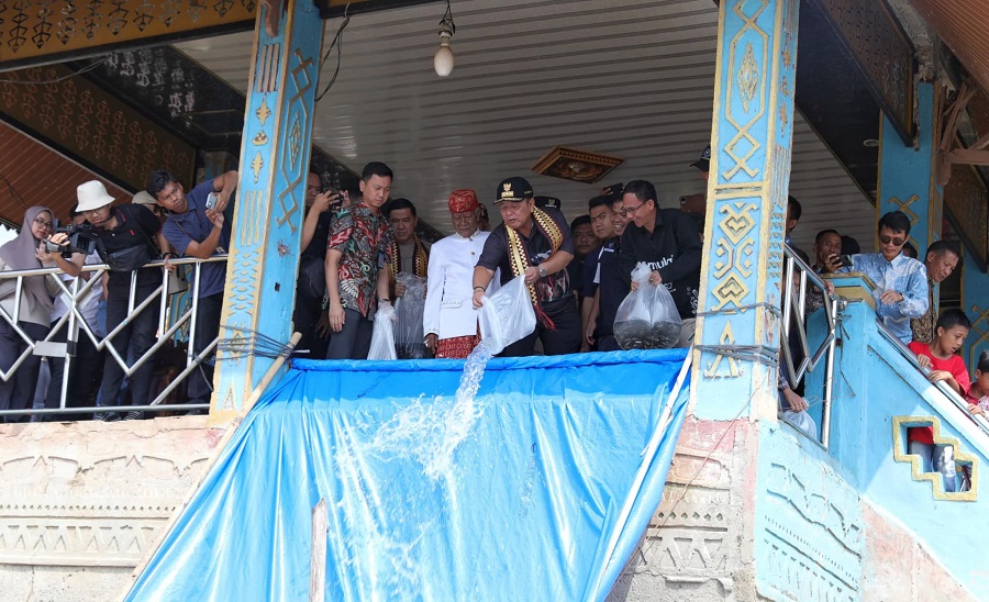 Gubernur Tebar Benih Ikan Endemik Lokal di Tulang Bawang Barat