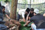 Wahdi Wali Kota Metro Berterima Kasih Kepada Masyarakat, Jumlah Hewan Qurban di Metro Capai 4000-an Ekor