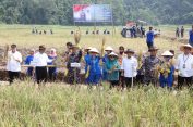 Mentan dan Wakasal Bersama Pj Gubernur Lampung Panen Raya Padi dan Jagung di Pantai Caligi