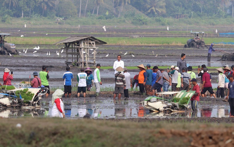 Presiden Jokowi Tinjau Progran Bantuan Pompa Pengairan Sawah di Lampung Selatan