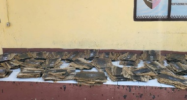 KSKP Bakauheni Bersama Barantin Gagalkan Penyelundupan Ratusan Kulit Ular Piton