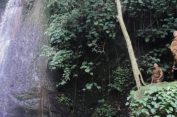 Walikota Eva Dwiana Tinjau Objek Wisata Air Terjun Batu Putu