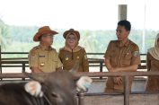 Pj Gubernur Provinsi Lampung Samsudin Tinjau UPTD Pembibitan Sapi Lampung