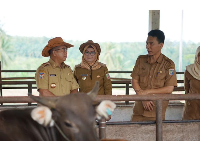Pj Gubernur Provinsi Lampung Samsudin Tinjau UPTD Pembibitan Sapi Lampung