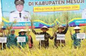 Pj. Gubernur Samsudin dan Ibu Maidawati Panen Raya Padi Musim Tanam Gadu di Mesuji