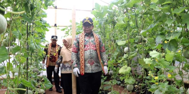 Centralberita – Pj. Gubernur Lampung Resmikan Poskesdes dan Panen Melon Bersama KWT di Tanggamus