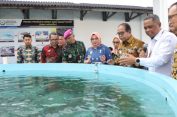 Pj. Gubernur Buka FGD Optimalisasi Pengelolaan Benih Lobster