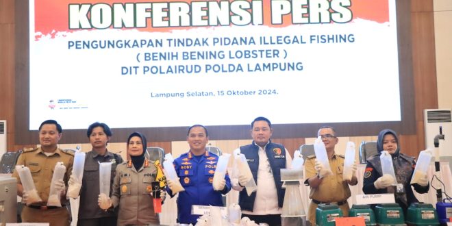 Ungkap 149.400 Ekor BBL, Polda Lampung Selamatkan Kerugian Negara Rp37,3 M