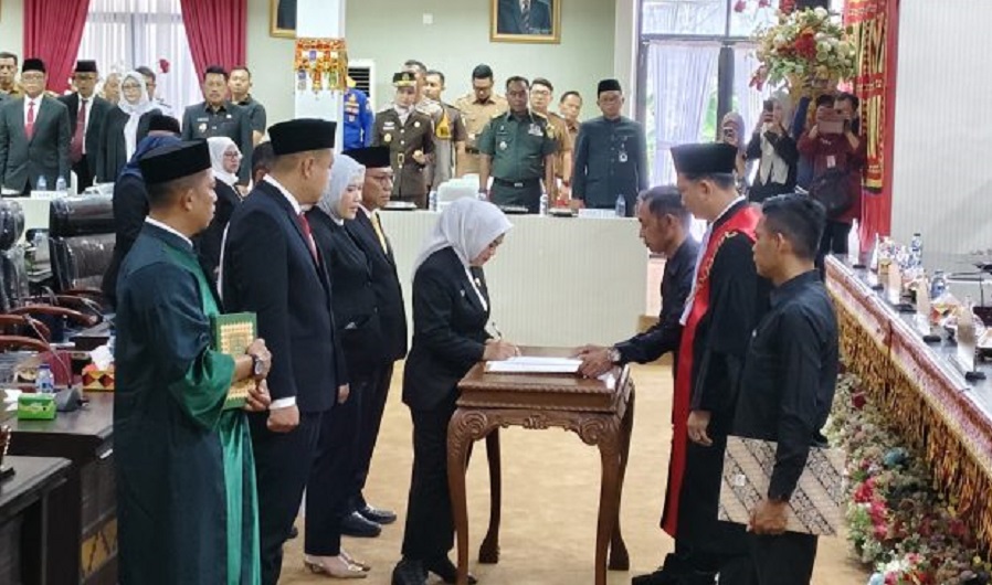 Erma Yusneli Ketua DPRD Lampung Selatan Periode 2024-2029