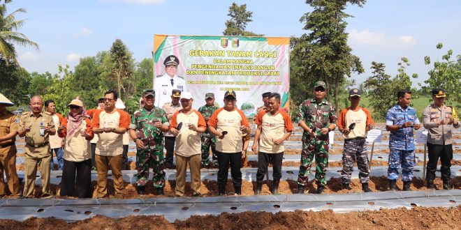 Pj Gubernur Lampung Luncurkan Gerakan Menanam Cabai di Lampung Timur untuk Kendalikan Inflasi Pangan