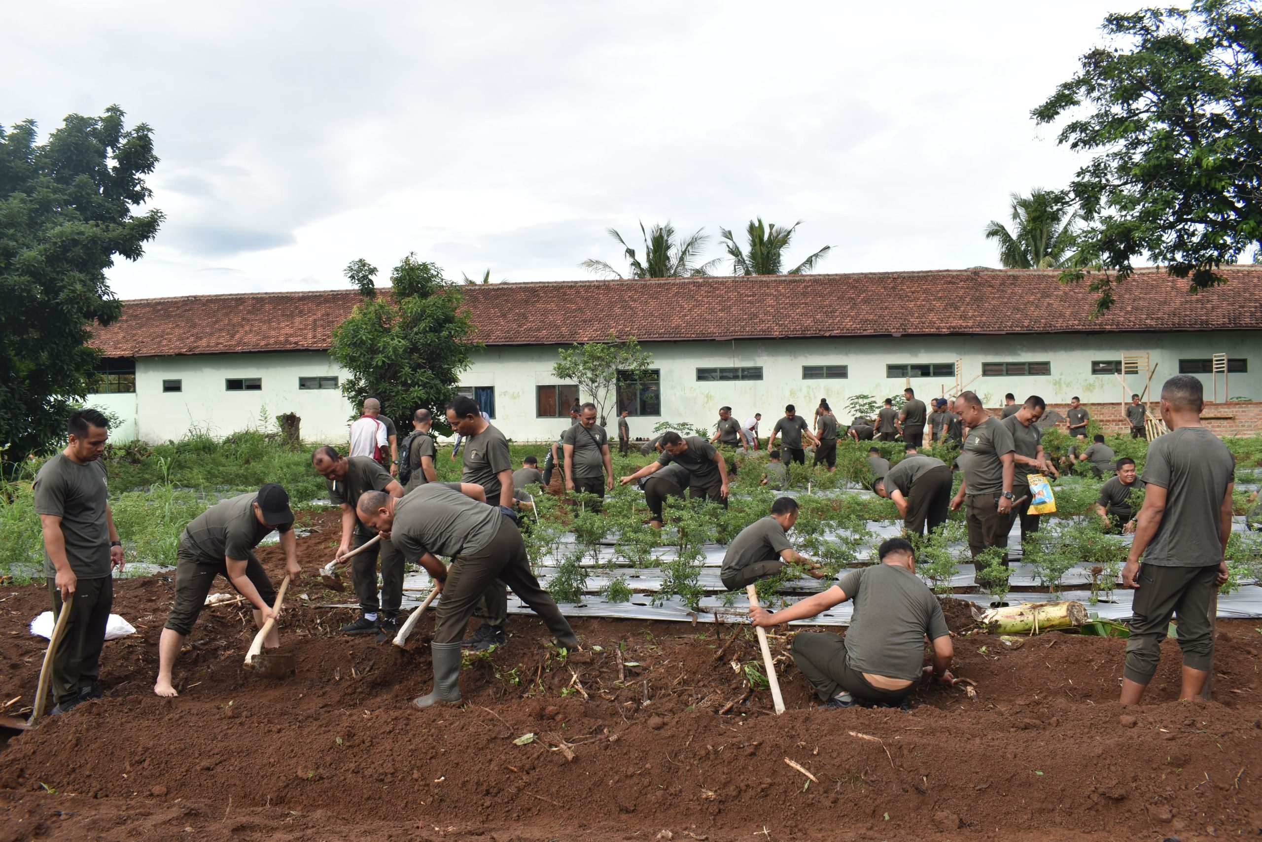 Prajurit Korem 043/Gatam Gotong Royong Siapkan Taman Urban Farming