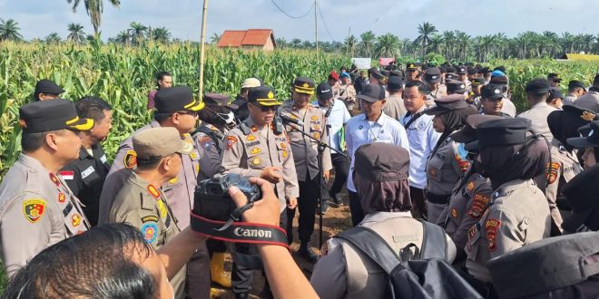Pengosongan Lahan PTPN VII di Desa Sidosari Berlangsung Kondusif, 4 Provokator Diamankan