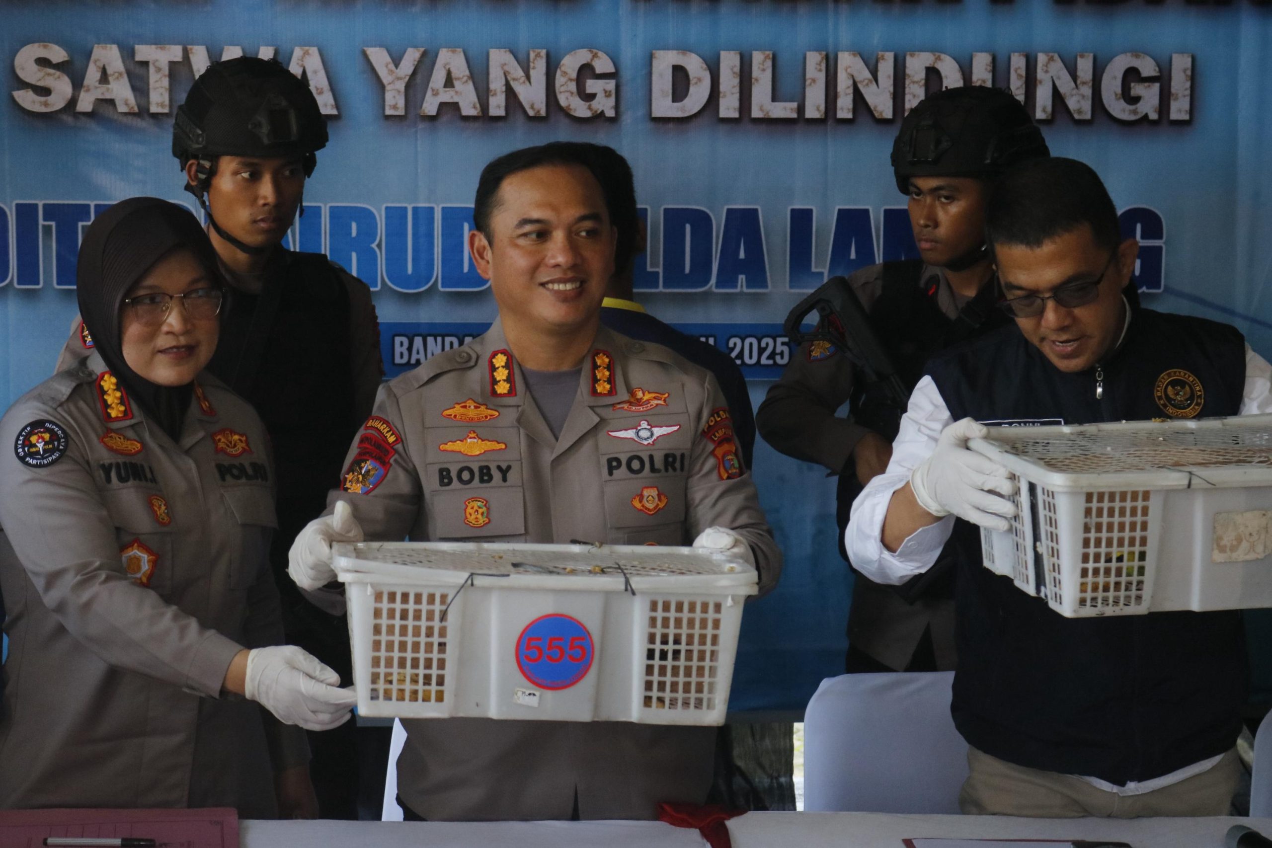 Ratusan Burung Ilegal Gagal Diselundupkan, Truk Diamankan di Pelabuhan Bakauheni