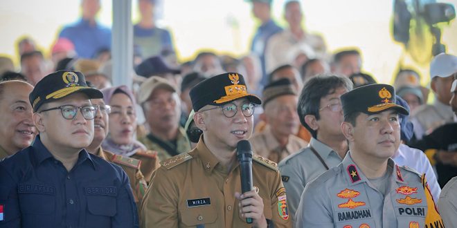 Provinsi Lampung Proyeksi Lonjakan Produksi Padi Tembus 3.5 Juta Ton Tahun 2025