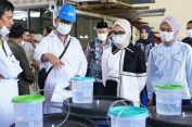 Gubernur Cukupi Kebutuhan Pupuk 190.851 Petani Lampung