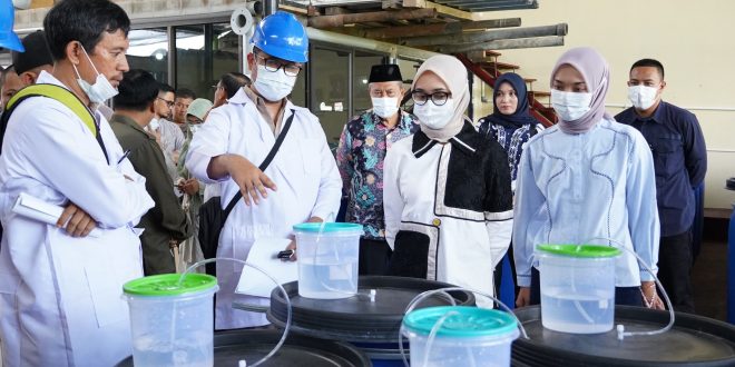 Gubernur Cukupi Kebutuhan Pupuk 190.851 Petani Lampung