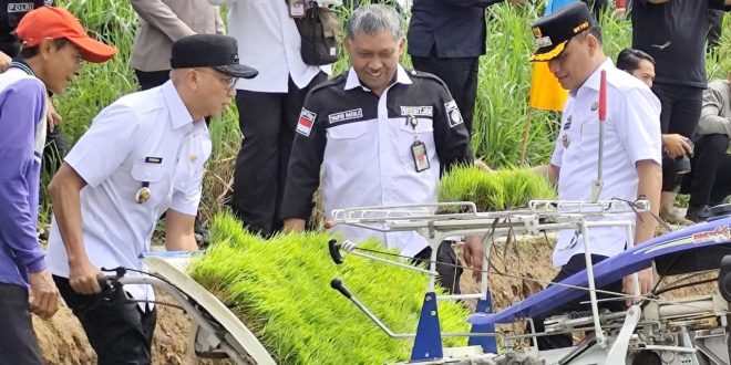 Gubernur Mirza Hadiri Taman Raya Padi Serentak di Kota Metro