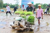 Dorong Swasembada Pangan Daerah, Danrem 043/Gatam Ikuti Gerakan Tanam Padi Serentak di Metro Timur