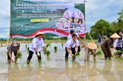 Radityo Egi Pratama Bupati Lamsel Ikut Tanam Padi Serentak di 14 Provinsi Secara Daring Bersama Presiden Prabowo