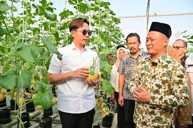 Panen Melon Sultan di Ponpes Istiqomah Al-Amin, Bupati Lamsel Egi Beri Apresiasi