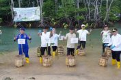 Gubernur Lampung Tanam Mangrove dan Tinjau Inovasi Appostrap di Pesawaran