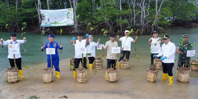 Gubernur Lampung Tanam Mangrove dan Tinjau Inovasi Appostrap di Pesawaran
