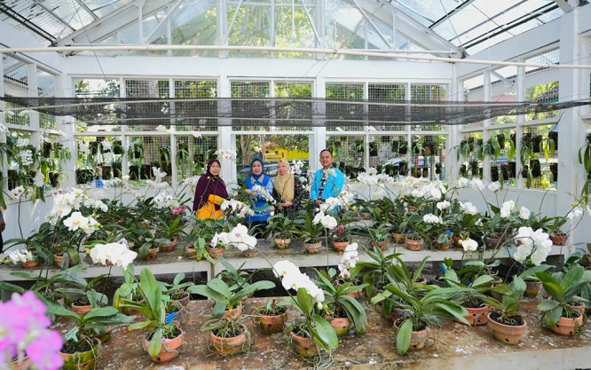 Unila Kembangkan Pusat Penelitian Genetik Anggrek, Komitmen Konservasi dan Pendidikan