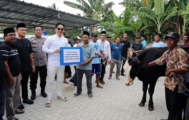 42 Sapi Kurban untuk Rakyat, Bupati Egi Langsung Turun Bagikan ke Masyarakat