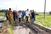 Bupati Egi Turun ke Sawah! Janji Tuntaskan Jalan Tani