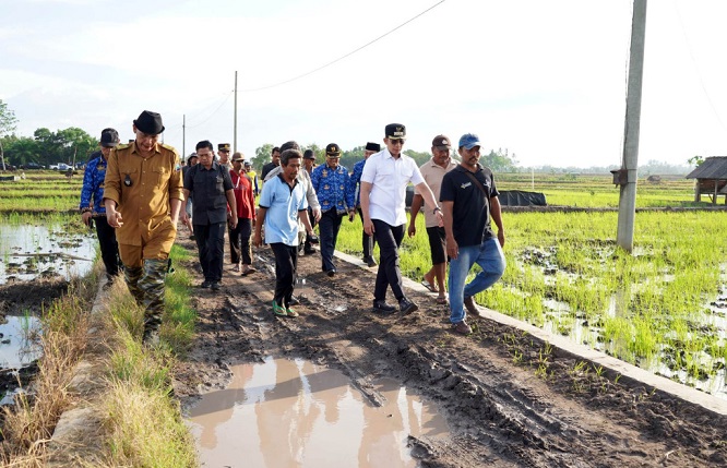 Bupati Egi Turun ke Sawah! Janji Tuntaskan Jalan Tani