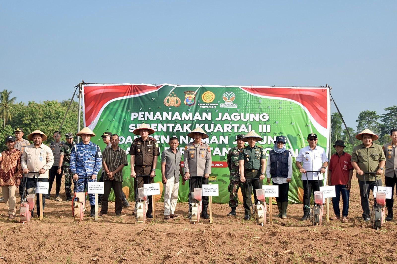 Dukung Swasembada Pangan, Kasrem 043/Gatam Hadiri Penanaman Jagung Serentak