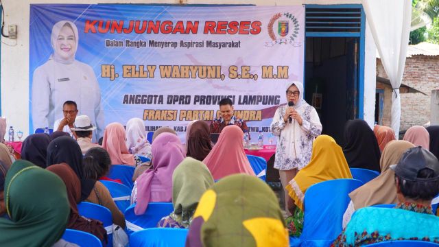 Sekretaris Komisi V DPRD Provinsi Lampung Tanggapi Keluhan Jalan Rusak di Way Ratai