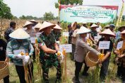Panen Raya Serentak, Pangdam XXI/Radin Inten Hadir Bersama Polda Lampung”