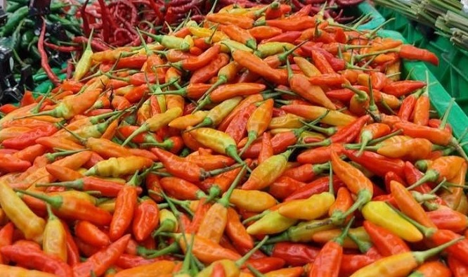 Harga dan Stok Cabai di Kota Bandar Lampung Masih Terkendali