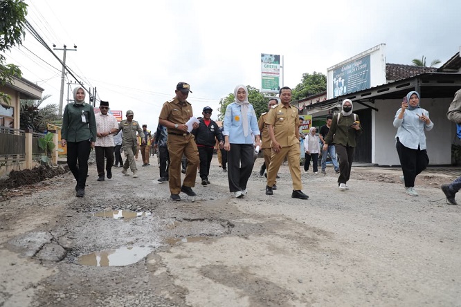 Wagub Jihan Tinjau Perbaikan Ruas Jalan Pringsewu–Pardasuka, Pastikan Akses Transportasi Aman dan Lancar