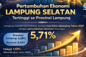 Pertumbuhan Ekonomi Lampung Selatan Meroket 5,71 Persen, Lampaui Provinsi dan Nasional