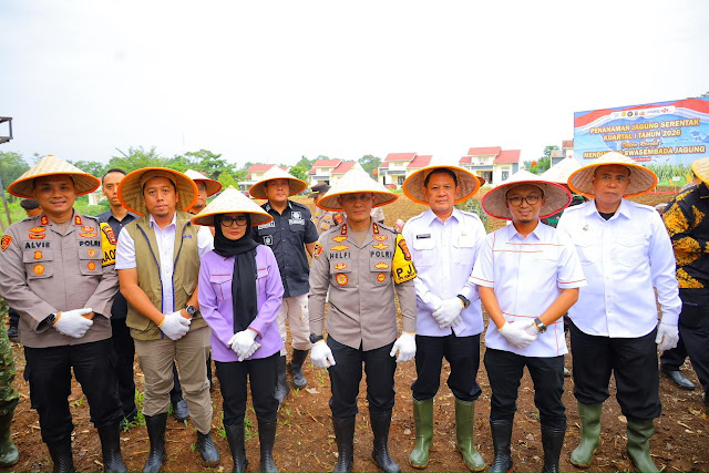 Irjen Pol Helfi Assegaf Kapolda Lampung Pimpin Penanaman Jagung Serentak Kuartal I di Kab. Pesawaran, Kapolri Beri Arahan Secara Daring