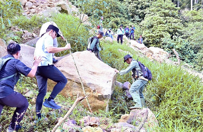 Longsor Gunung Rajabasa: Bupati Egi Naik 3 Km, Tanam  Pohon Cegah Bencana Susulan