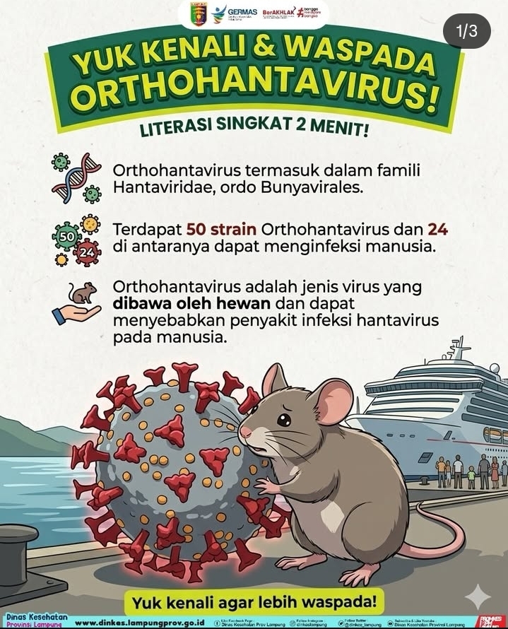 Jangan Anggap Remeh Tikus di Sekitar Kita! Yuk Kenali dan dan Waspadai Orthohantavirus!