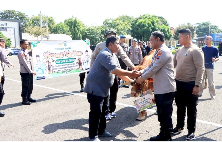 Idul Adha 2026, Polres Tuban Salurkan 11 Sapi dan 31 Kambing