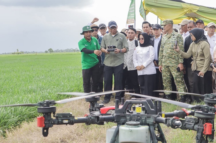 Pemprov Lampung Perkuat Dukungan untuk Petani, dari Teknologi hingga Pengendalian Hama