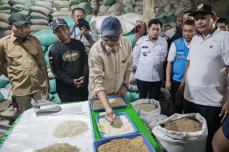 Pemprov Lampung Potong  Rantai Rugi Petani dan Naikkan Harga Gabah hingga Rp2.000/kg
