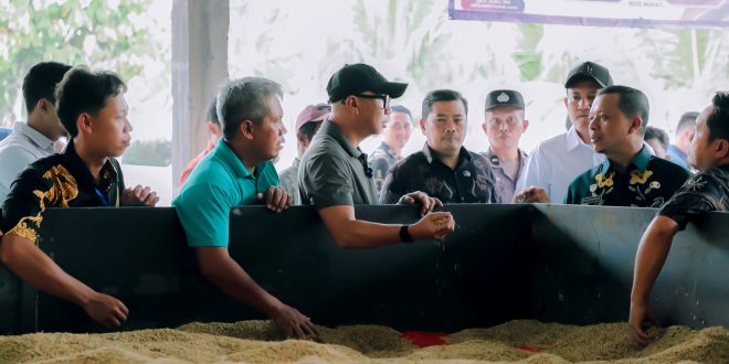 Pemprov Lampung Dorong Hilirisasi Gabah di Tingkat Desa Lewat Bed Dryer