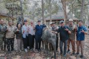 Pemprov Lampung Dorong Keseimbangan Konservasi Gajah dan Aktivitas Masyarakat