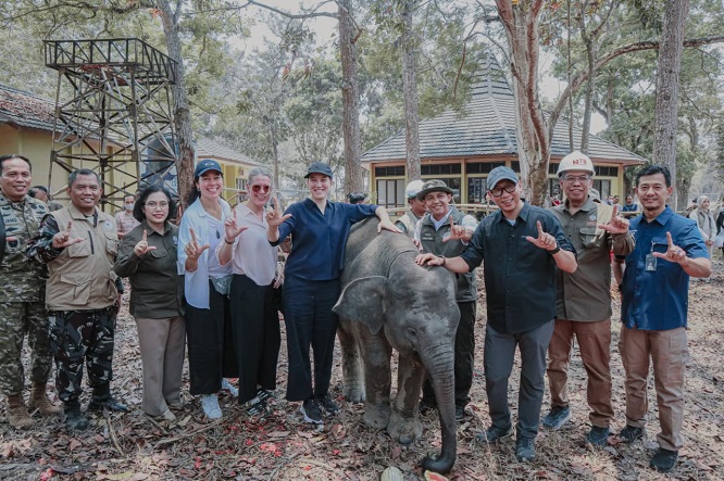 Pemprov Lampung Dorong Keseimbangan Konservasi Gajah dan Aktivitas Masyarakat
