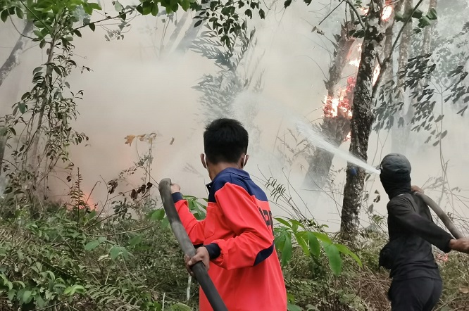 Dua Titik Karhutla di Tulang Bawang dan Lamteng Terkendali, BPBD Sampaikan Pesan Gubernur: Tingkatkan Kewaspadaan